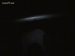 Guy creeps into farmyard at night to acquire screwed by a hung donkey 